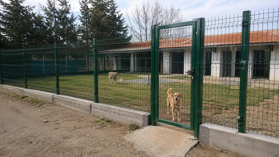 Ankara hayvan barınağı ve köpek gezinti alanında güvenli panel çit, beton alt hat ve kilitli yaya kapısı uygulaması